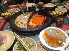 -蜀大侠火锅(建设路第五大道店)