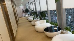 -贞禾医美·连锁