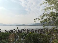 -湖畔居茶楼(湖滨店)