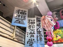 -猫咪博物馆(顶澳仔猫街店)