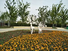 -上海浦江郊野公园-2号停车场