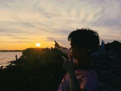 -宝安西湾红树林湿地公园