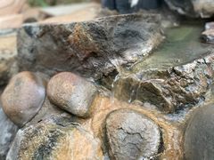 -龙佳生态温泉山庄