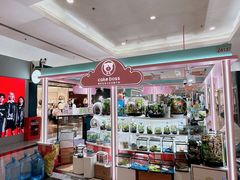 -CAKE BOSS 蛋糕老板(北京世纪金源购物中心)