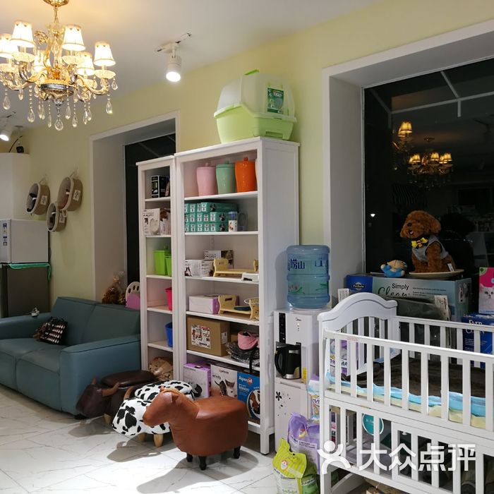 台湾流川丰宠物生活会馆图片-北京宠物店-大众点评网