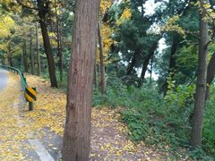 -金堂县云顶石城风景区