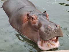 -哈尔滨北方森林动物园