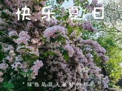 -北京动物园