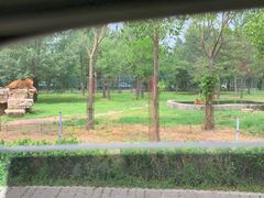 -秦皇岛野生动物园