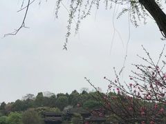 -重庆园博园