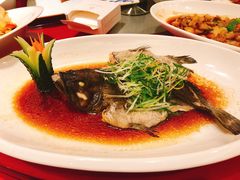 清蒸石斑鱼-安蒂娅.悦景轩中餐厅(西乡店)