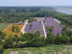 -同里国家湿地公园