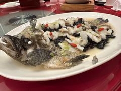 古法蒸老虎斑-利苑酒家(金宝店)