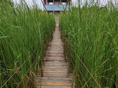 -河北村民俗体验园