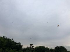 -南宁南湖公园