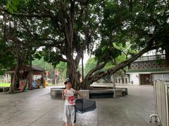 -荔湾湖公园