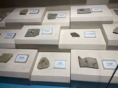 -辽宁古生物博物馆