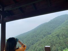 -铁山坪森林公园