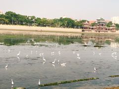 -龙舟池