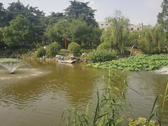 -郑和公园