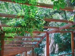 -大岭沟猕猴桃谷风景区
