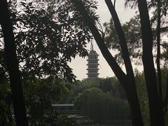 -三水森林公园