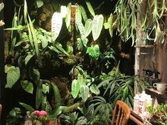 -自由生长植物工作室(深港花卉中心店)