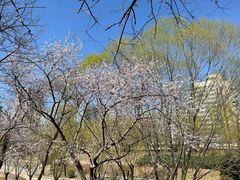 -元大都城垣遗址公园