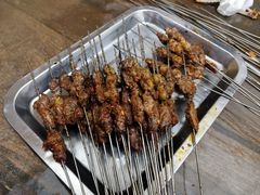 -清真·马峰烤肉(小学习北巷店)