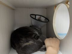 -博特宠物医院24h犬猫全科.骨科·异宠