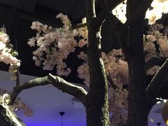 -蜜桃餐厅·江浙融合菜(荟聚购物中心店)