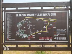 -盐城丹顶鹤湿地生态旅游区