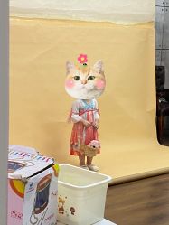 -小鬼当佳儿童摄影(龙德广场店)