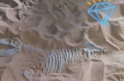 -恐龙探索乐园(磁器口店)