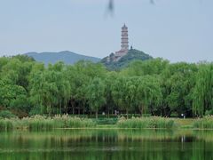 -北坞公园