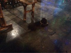 iphone_upload_pic-赢吧Bliss音乐酒吧