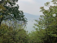 -铁山坪森林公园