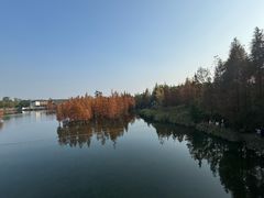 -白鹭湾湿地公园