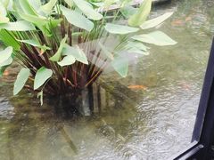 -鹅公村·国家非遗传承(荔湾店)