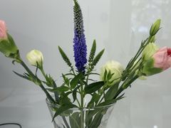 -皓齿连锁·雅贝健口腔·种植·矫正中心(虹口曲阳路店)