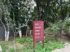 -北京十三陵国家森林公园蟒山景区