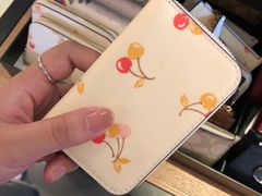 -COACH蔻驰(百联奥特莱斯广场店)