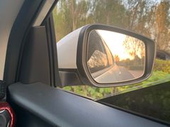 -蒲河岛湿地公园