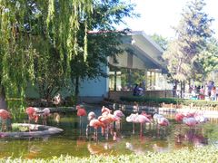 -石家庄市动物园