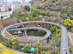 -福道