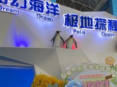 -泉城欧乐堡海洋极地世界