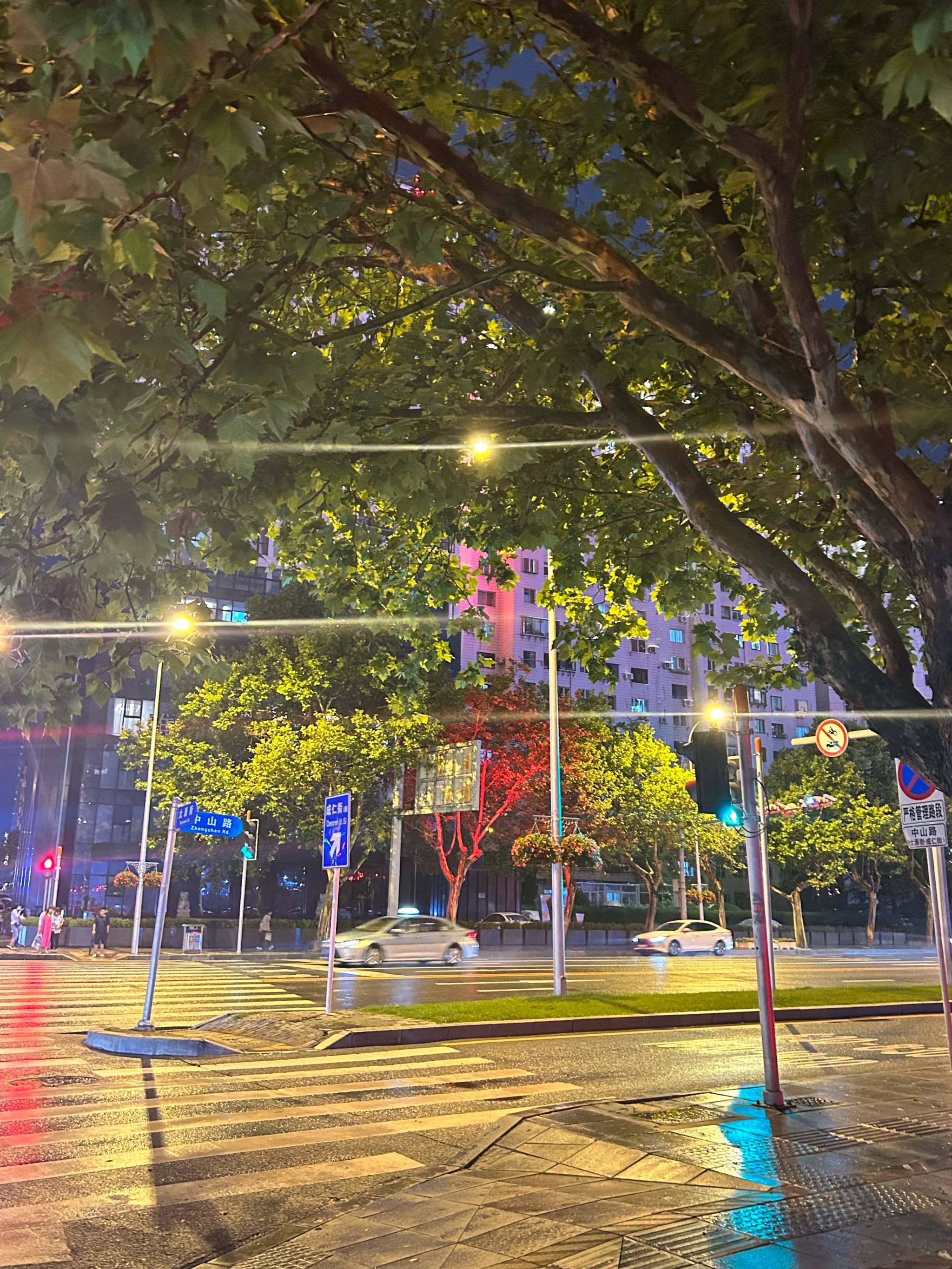 雨后街景图片