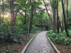 -南国桃园旅游度假区