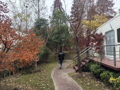 -上海海湾国家森林公园