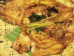 罗非鱼-云海肴·汽锅鸡·云南菜(天津国金汇店)